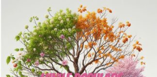 Lunile Anului în Limbaj Popular